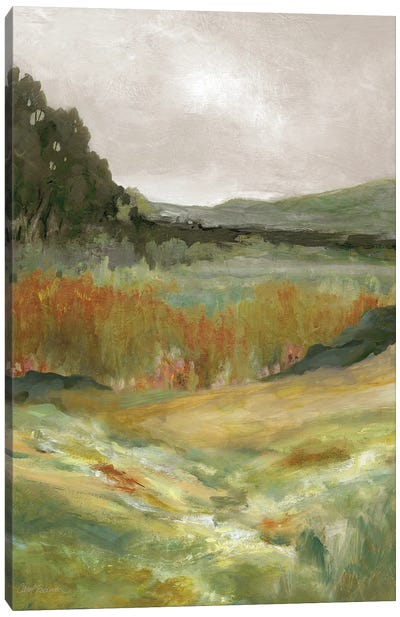 Afternoon Expanse Canvas Art Print - Field, Grassland & Meadow Art