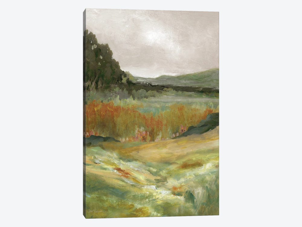 Afternoon Expanse by Carol Robinson 1-piece Canvas Print