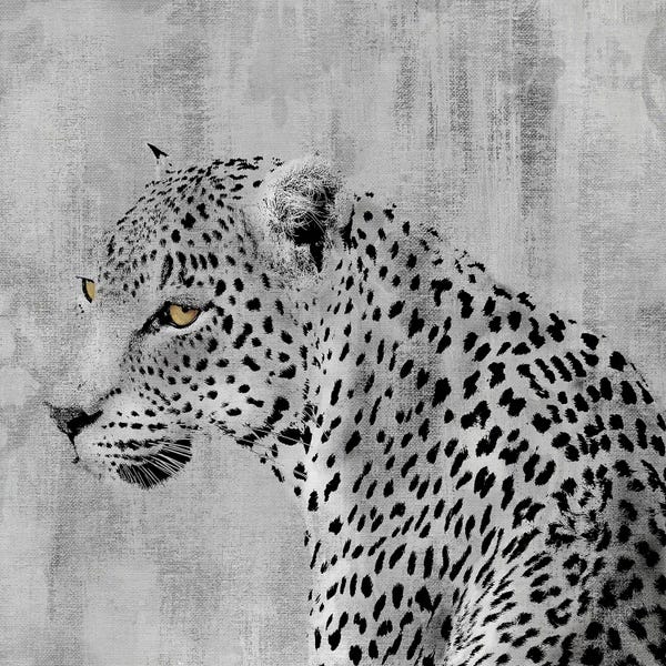 Leopards: Cat Pause by Carol Robinson