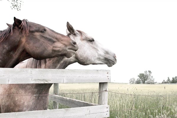 Photography: Conspirators by Carol Robinson