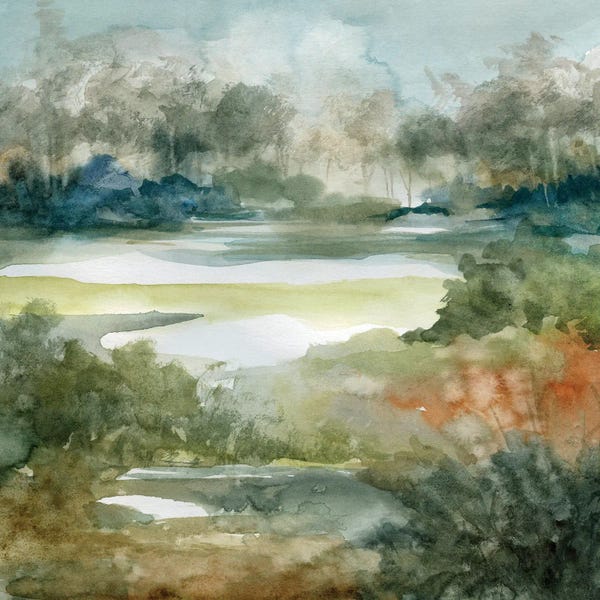 Rivers, Creeks & Streams: Converging Streams by Carol Robinson