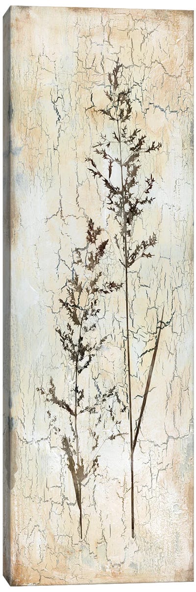 Delicate Nature I Canvas Art Print - Herb Art