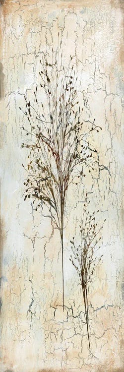 Delicate Nature II by Carol Robinson wall art