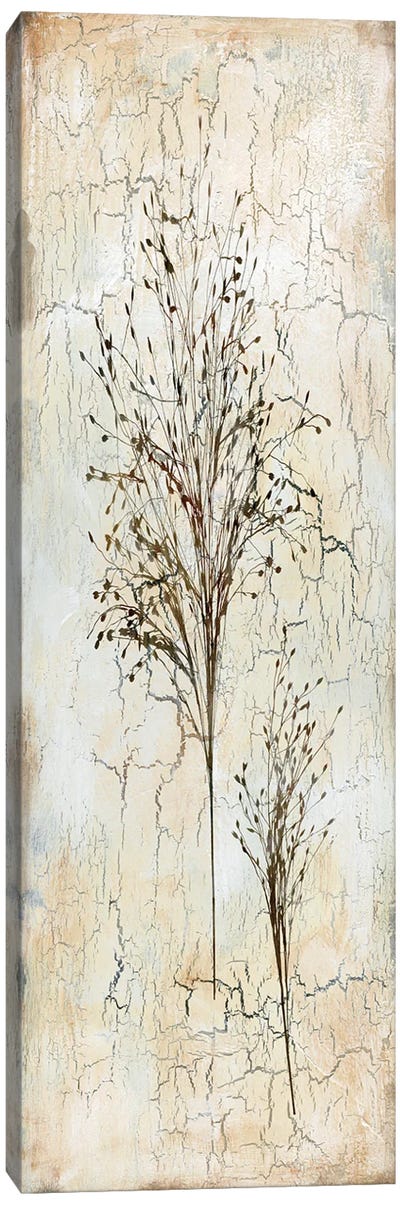 Delicate Nature II Canvas Art Print - Herb Art