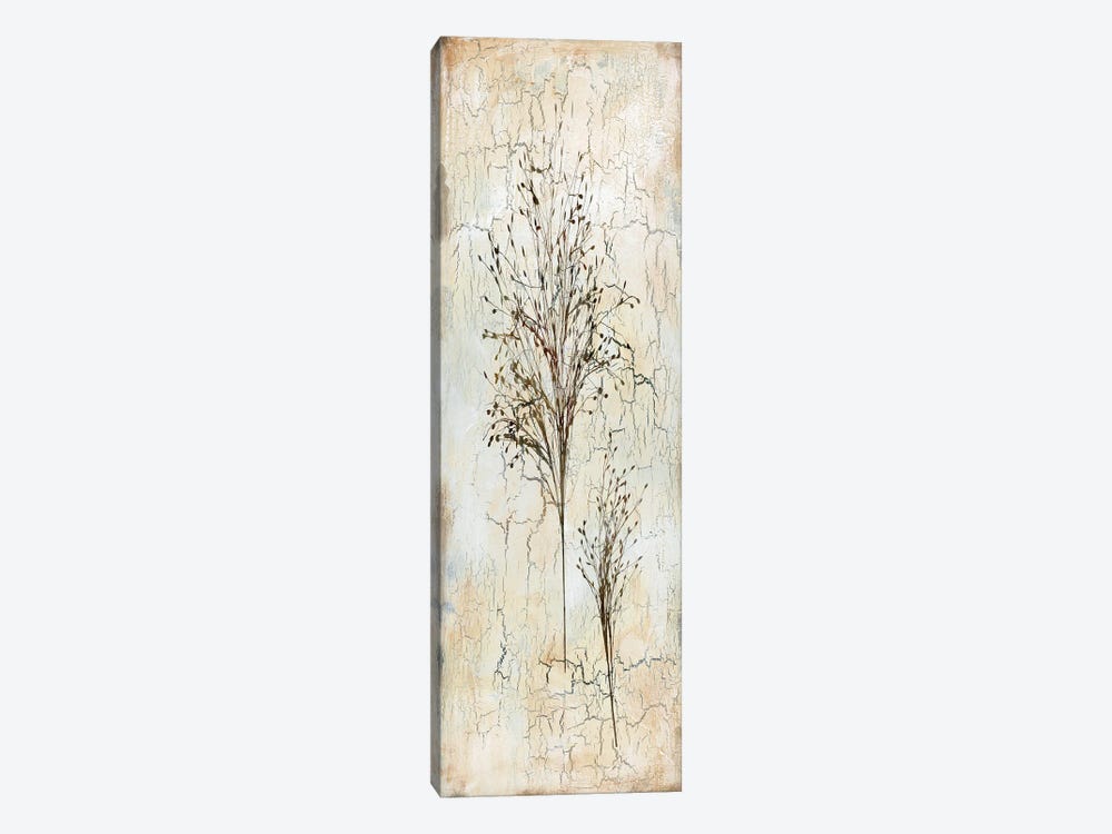 Delicate Nature II by Carol Robinson 1-piece Canvas Wall Art
