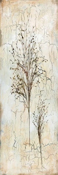 Delicate Nature II