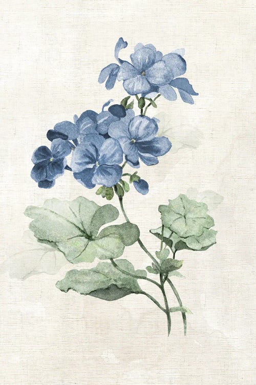 Farmhouse Periwinkle I