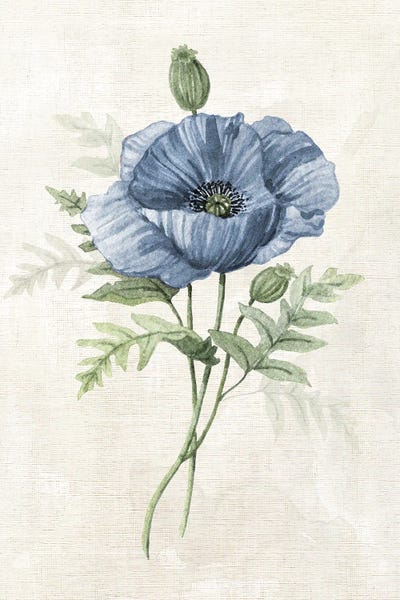 Modern Farmhouse Décor: Farmhouse Periwinkle IV by Carol Robinson