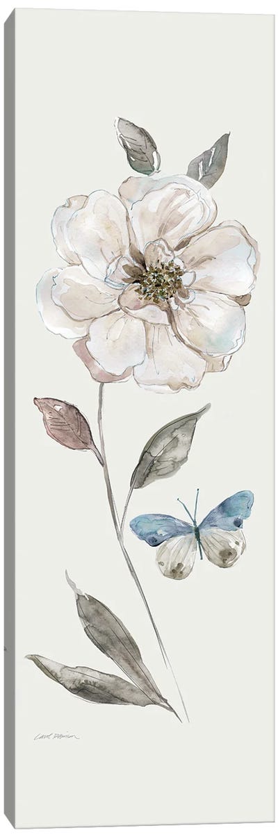 Frosted White Rose Canvas Art Print - Carol Robinson