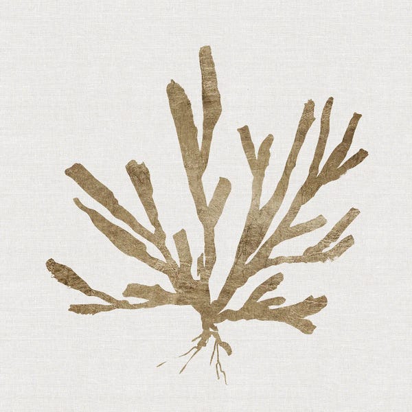 Coral: Metallic Coral I by Carol Robinson