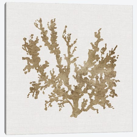Metallic Coral II Canvas Print #CRO1444} by Carol Robinson Canvas Print