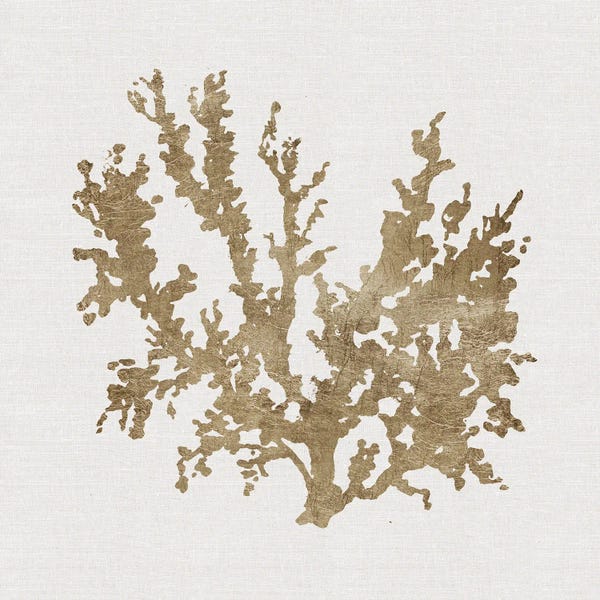 Coral: Metallic Coral II by Carol Robinson