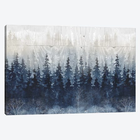 Misty Indigo Forest Canvas Print #CRO1446} by Carol Robinson Canvas Art Print