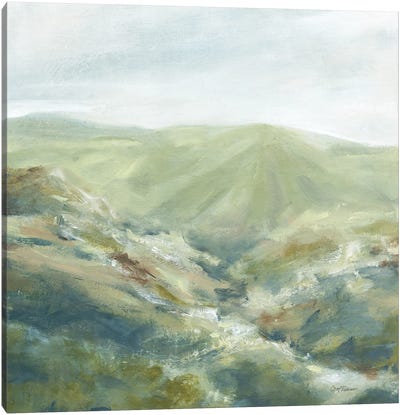 Mountain Pasture Canvas Art Print