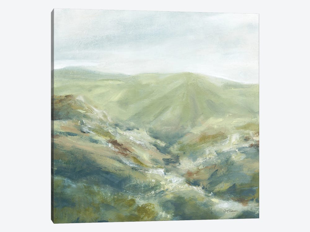 Mountain Pasture by Carol Robinson 1-piece Canvas Print