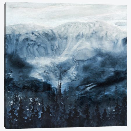 Mountain Shadows Canvas Print #CRO1448} by Carol Robinson Canvas Wall Art