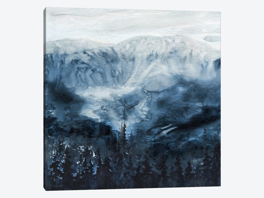 Mountain Shadows by Carol Robinson 1-piece Canvas Wall Art