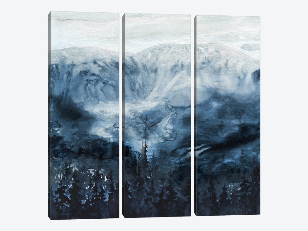 Mountain Shadows by Carol Robinson 3-piece Canvas Wall Art