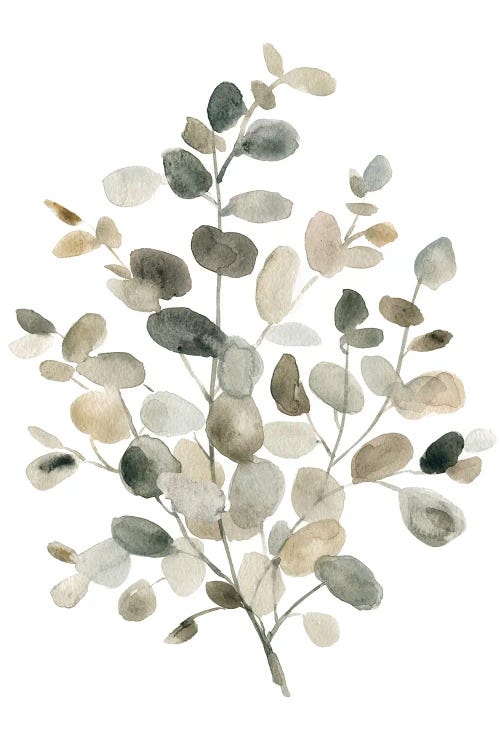 Neutral Eucalyptus I