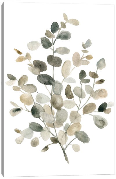 Neutral Eucalyptus I Canvas Art Print - Eucalyptus Art