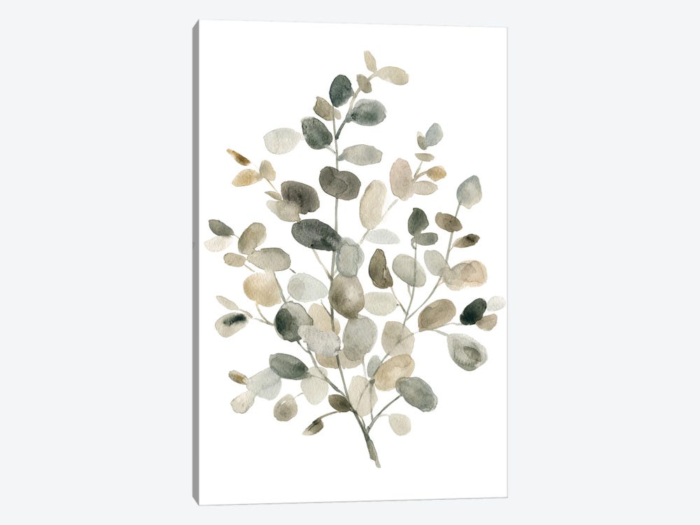 Neutral Eucalyptus I by Carol Robinson 1-piece Canvas Print