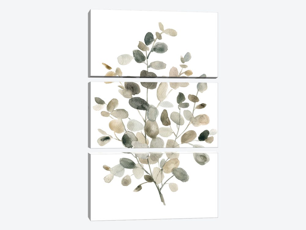 Neutral Eucalyptus I by Carol Robinson 3-piece Art Print