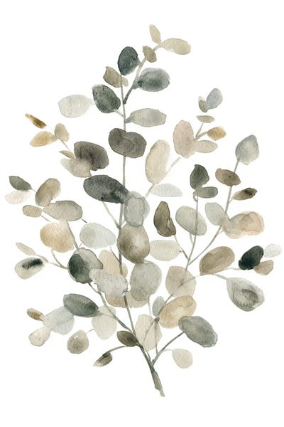 Eucalyptus: Neutral Eucalyptus I by Carol Robinson