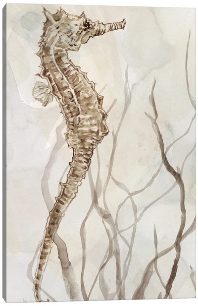 Neutral Seahorse I Canvas Art Print - Nautical Décor