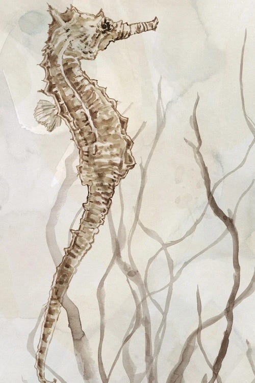 Neutral Seahorse I