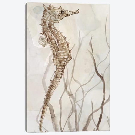 Neutral Seahorse I Canvas Print #CRO1450} by Carol Robinson Canvas Art Print