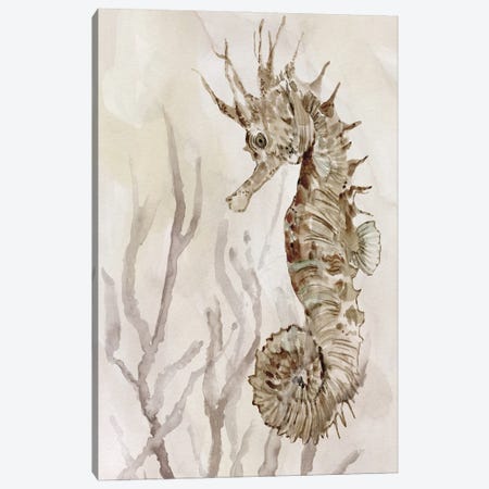 Neutral Seahorse II Canvas Print #CRO1451} by Carol Robinson Canvas Print