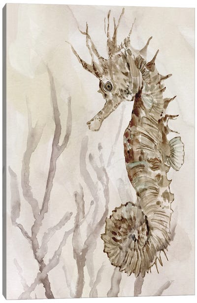 Neutral Seahorse II Canvas Art Print - Seahorse Art