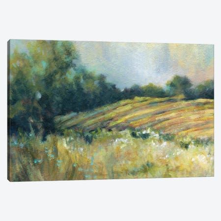 Pastoral Field Canvas Print #CRO1453} by Carol Robinson Canvas Art Print
