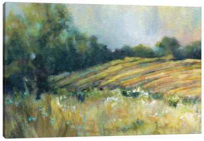 Pastoral Field Canvas Art Print - Carol Robinson