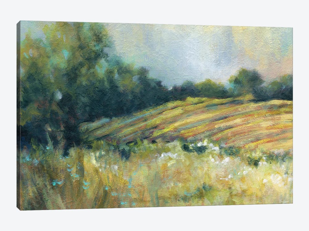 Pastoral Field by Carol Robinson 1-piece Canvas Art