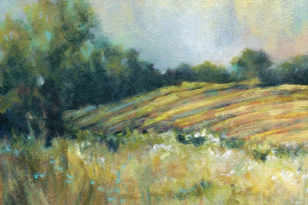 Fields, Grasslands & Meadows: Pastoral Field by Carol Robinson