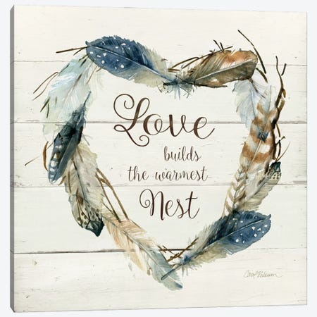 Feather Love Nest Canvas Print #CRO145} by Carol Robinson Art Print