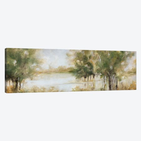 Waterway Grove Canvas Print #CRO1460} by Carol Robinson Canvas Artwork