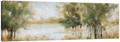 Waterway Grove Canvas Art Print - Abstract Landscapes Art