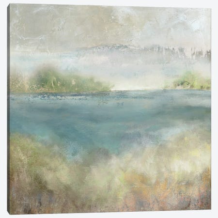 Sage Expanse Canvas Print #CRO1478} by Carol Robinson Art Print