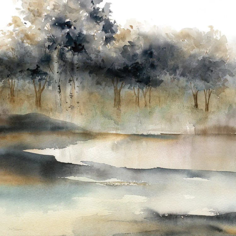 Silent Waters I by Carol Robinson wall art