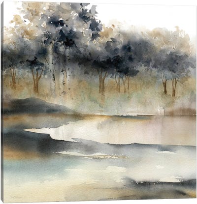 Silent Waters I Canvas Art Print - Lake Art