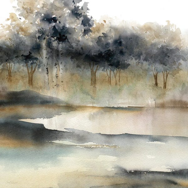 Silent Waters I