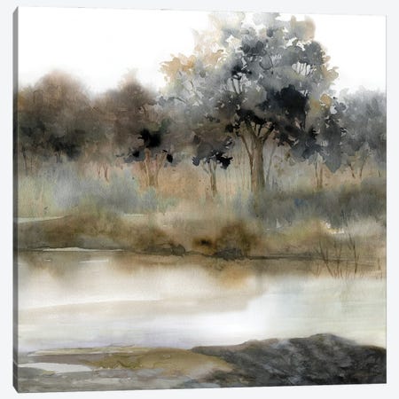 Silent Waters II Canvas Print #CRO1482} by Carol Robinson Canvas Wall Art