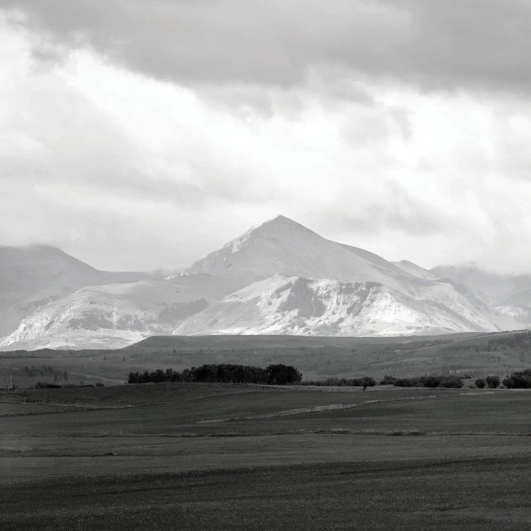 Alberta Foothills I