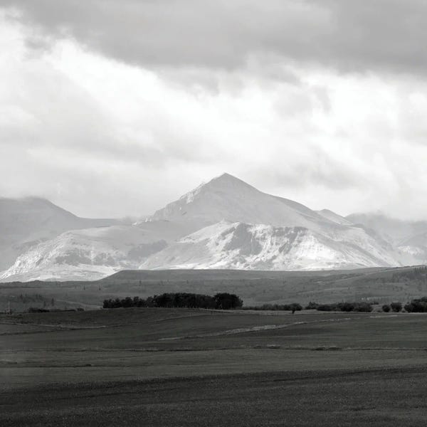 Alberta: Alberta Foothills I by Carol Robinson