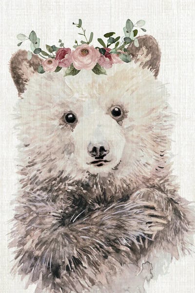 Eucalyptus: Dressy Cub by Carol Robinson