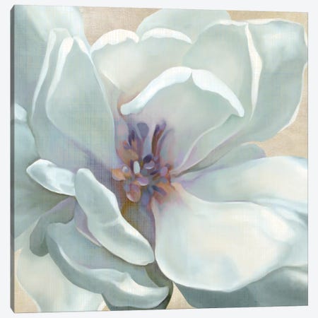 Iridescent Bloom I Canvas Print #CRO14} by Carol Robinson Canvas Artwork
