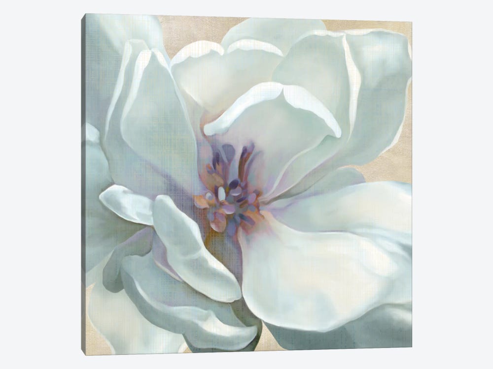 Iridescent Bloom I by Carol Robinson 1-piece Canvas Wall Art