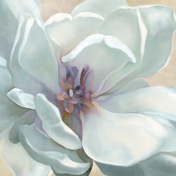 Floral Close-Ups: Iridescent Bloom I by Carol Robinson